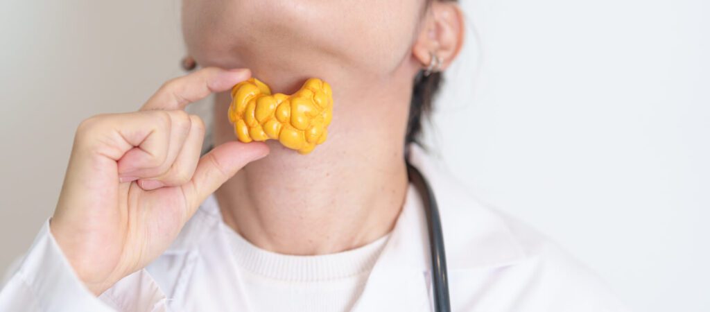 Doctor with human Thyroid anatomy model.